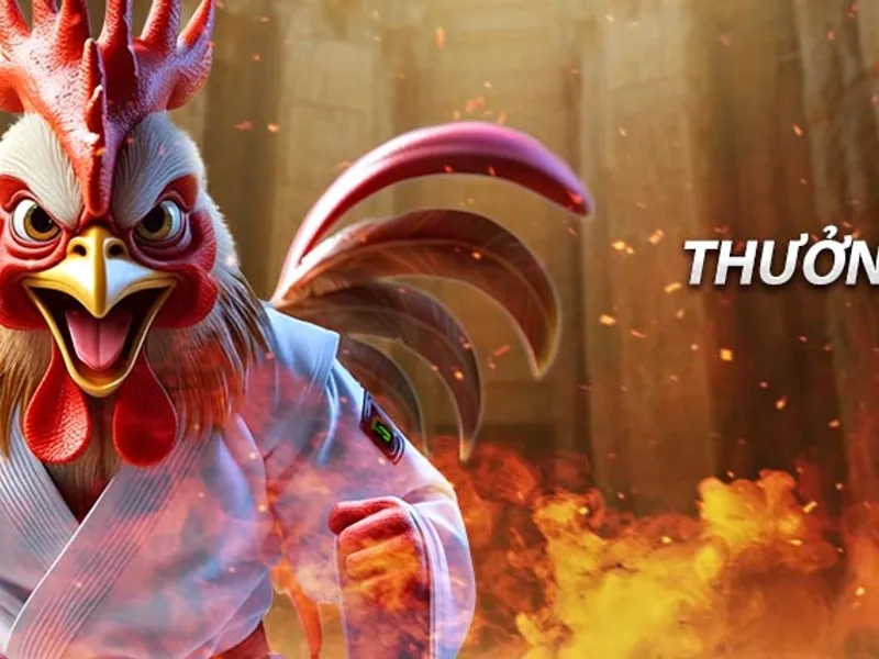 Bảng điều khiển đối tác J88Bet với các công cụ marketing và phân tích